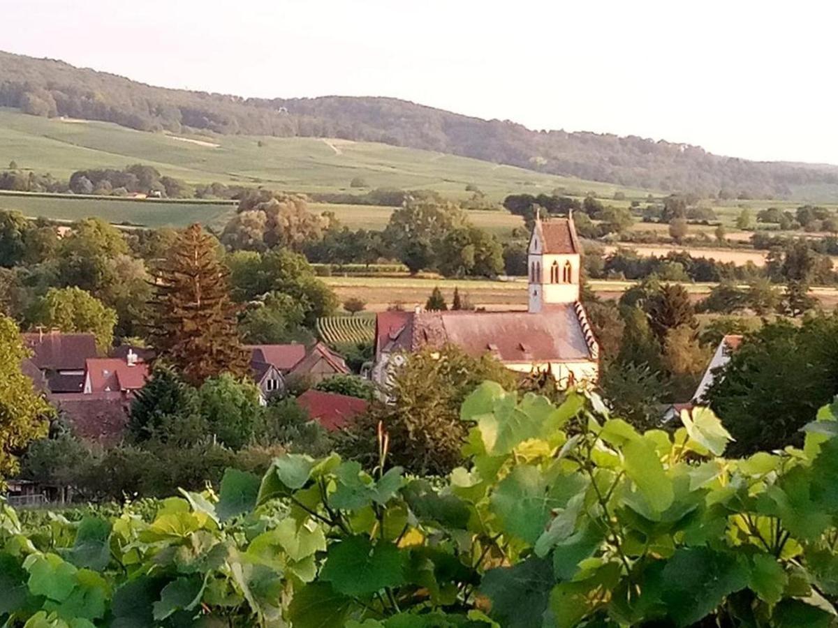 Ferienwohnung Im Gaertle Sulzburg Kültér fotó